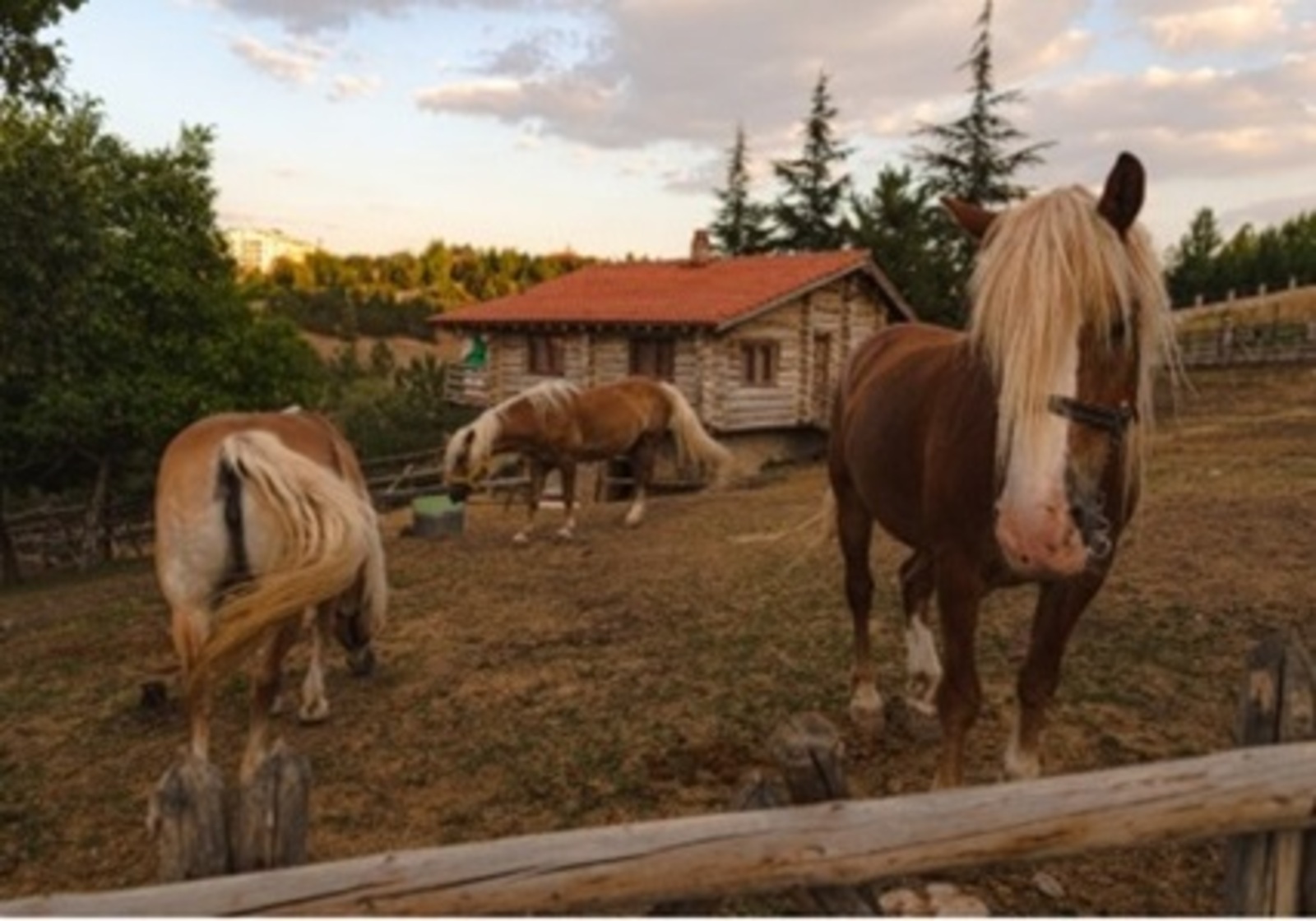 Вахит ИМАМОВ. Ир канаты. Повесть (1)