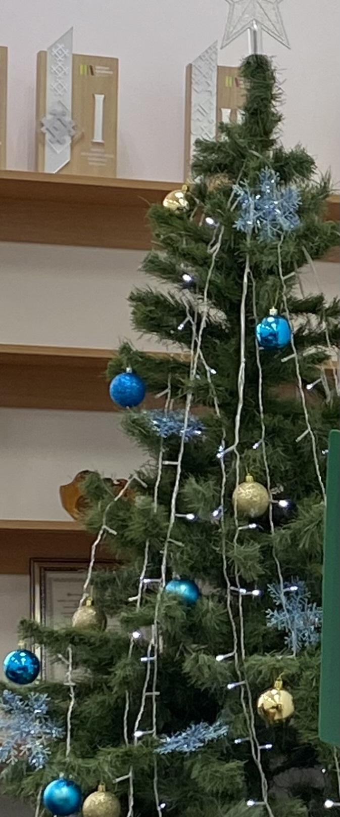 Әлфия ШӘЙХЛИСЛАМОВА. Яңа елны каршылап