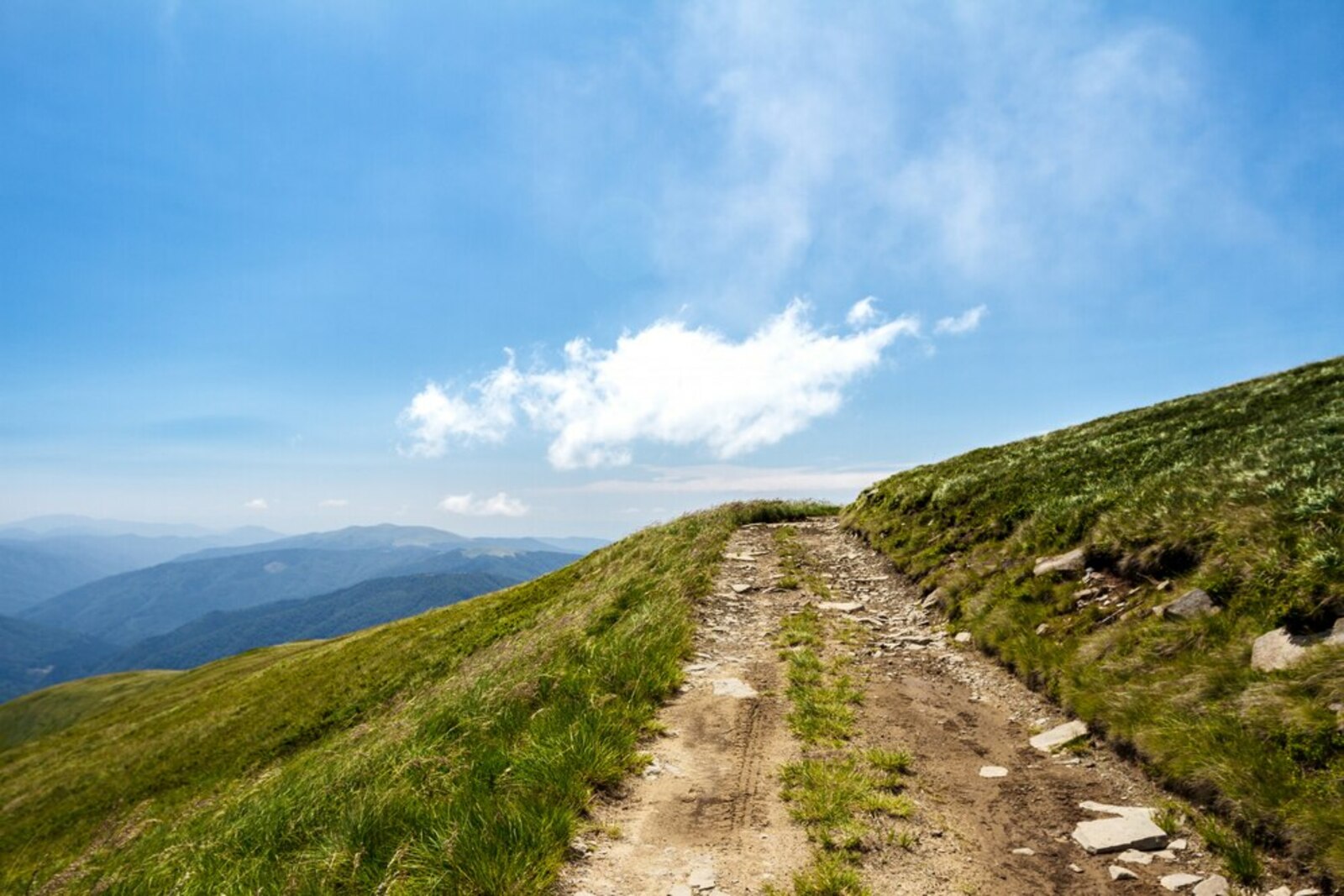 Ходайга тапшырсаң, юл уңа