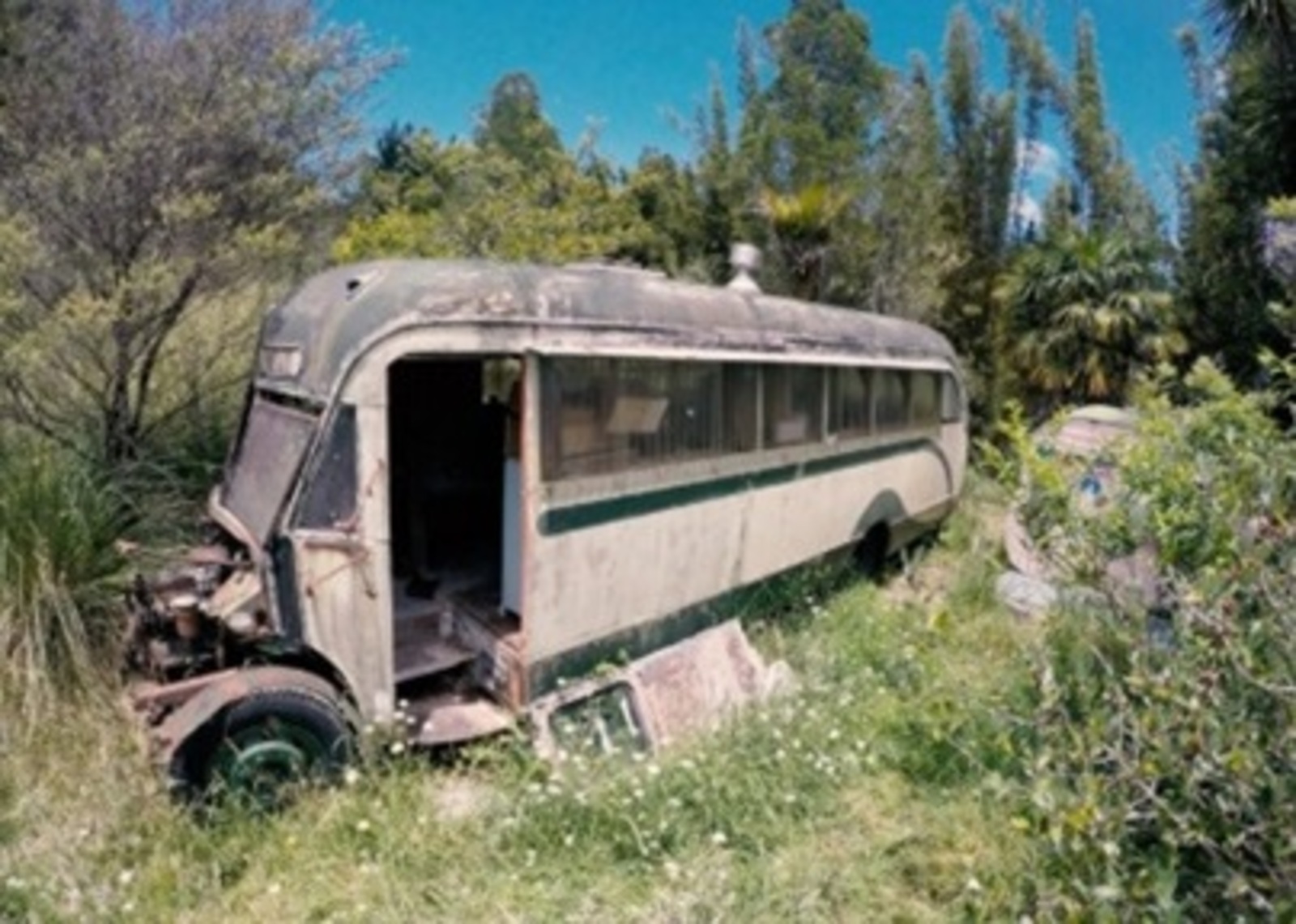 Әхсән БАЯН. Корт кешеләрне һәлак итте