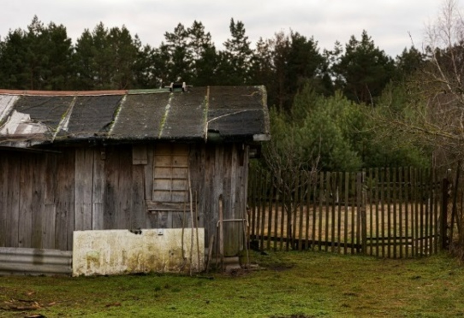 Әмир ӘМИНЕВ. Йолдызак. Повесть (5)