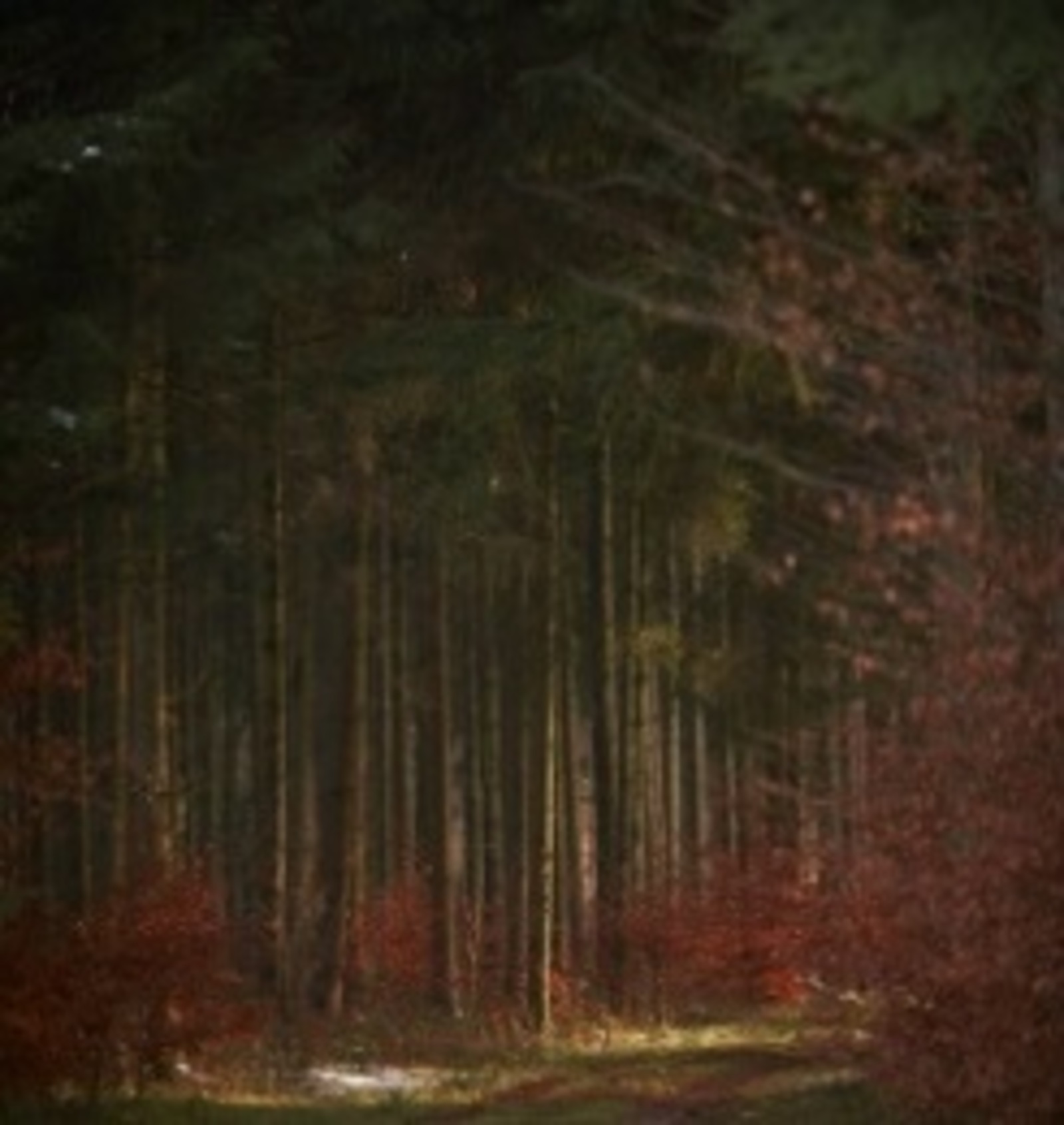 Мансур ВӘЛИ-БАРҖЫЛЫ. Адашу. Хикәя (Ахыры)