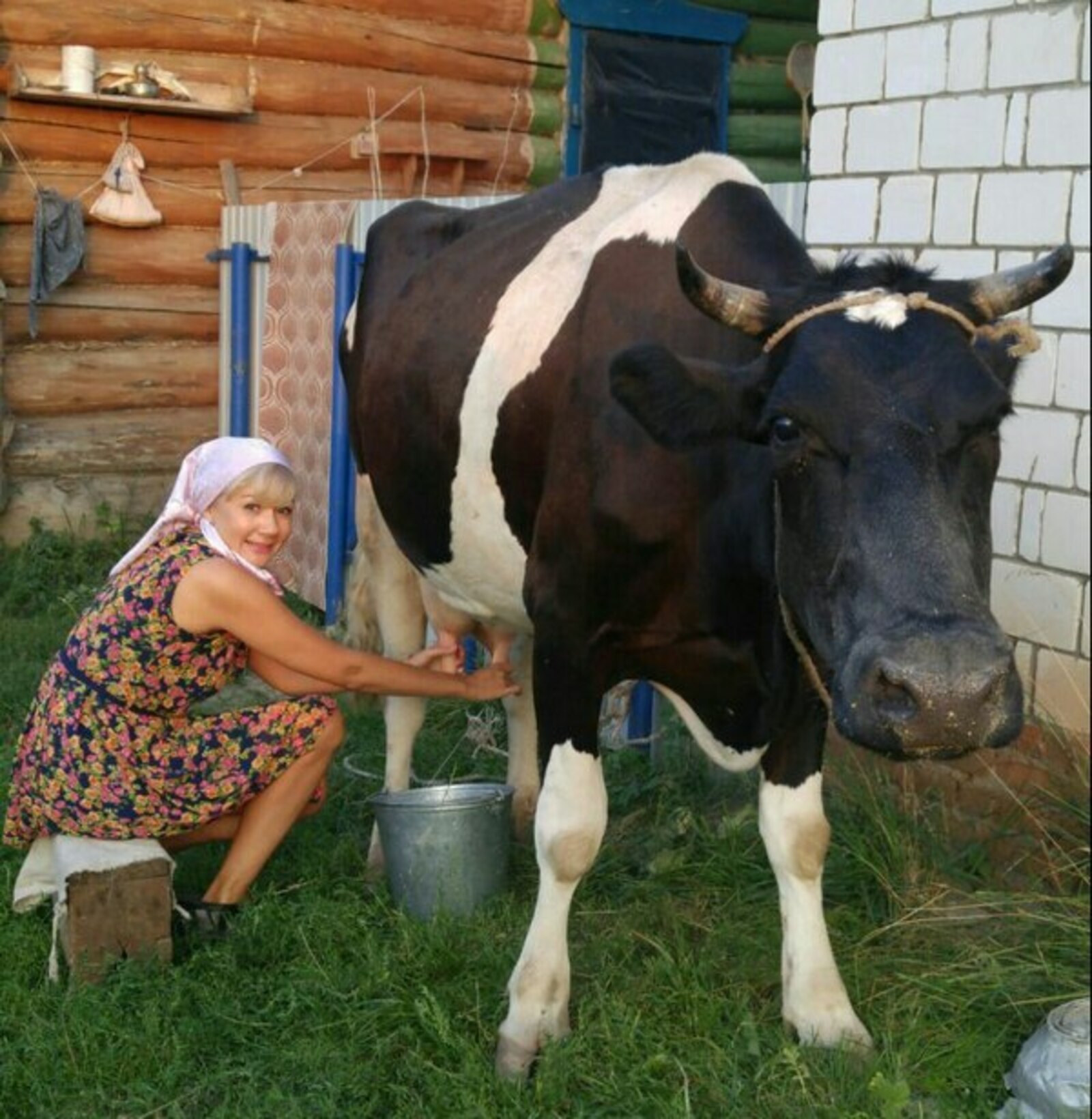 Гөлнара ГЫЙЛЕМХАНОВА. Сөт – кибеттән, ит – базардан