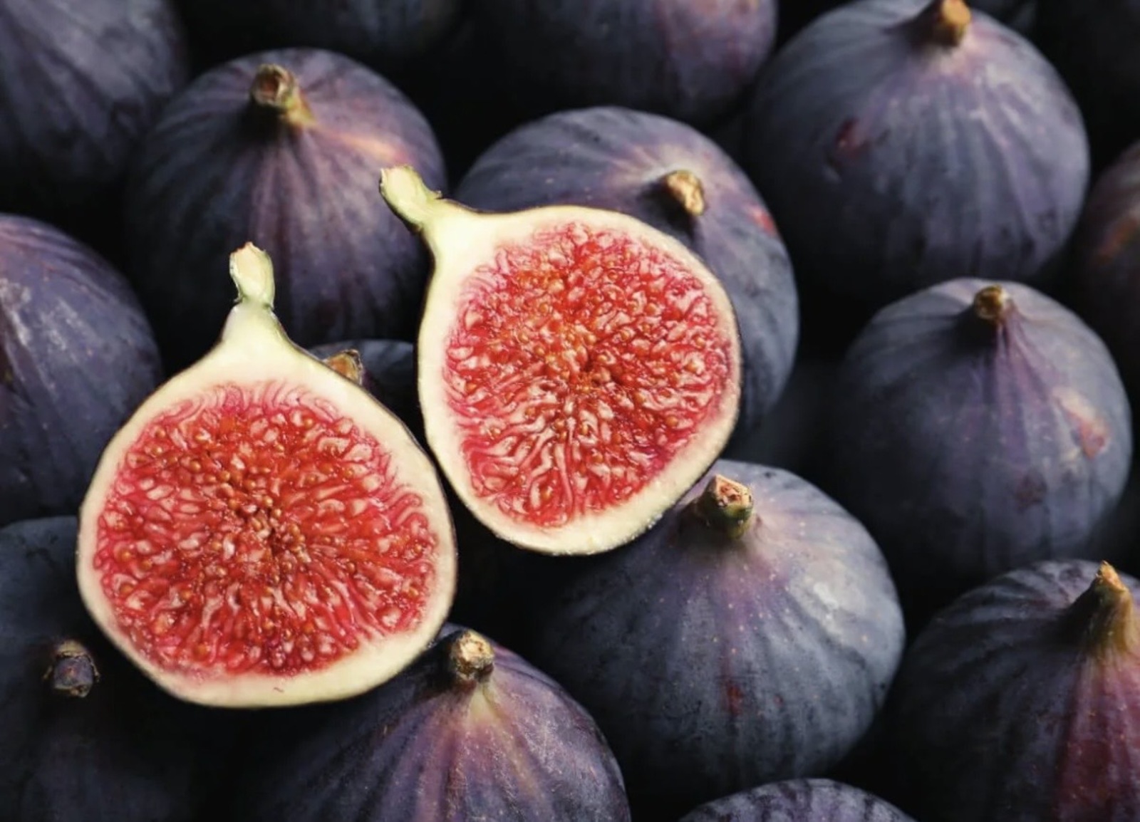 Өйдә дәваланабыз