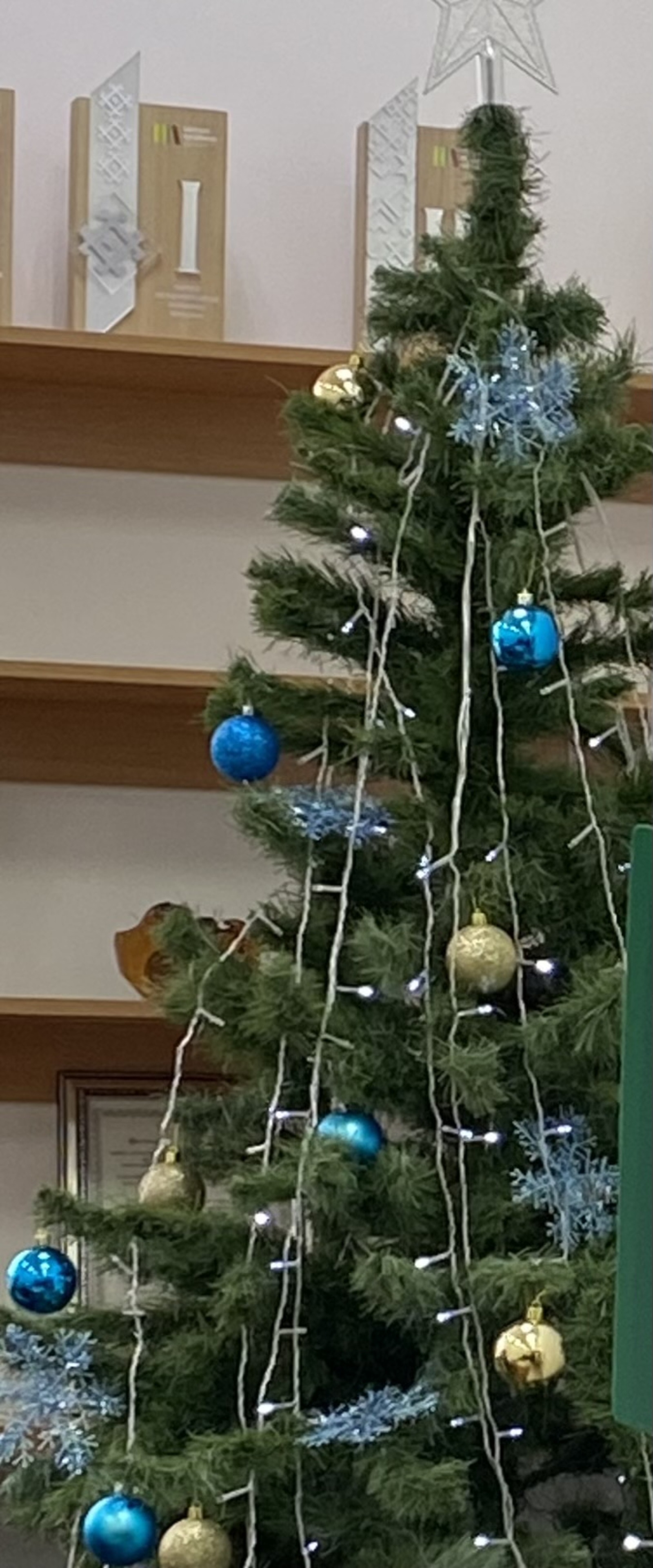 Әлфия ШӘЙХЛИСЛАМОВА. Яңа елны каршылап