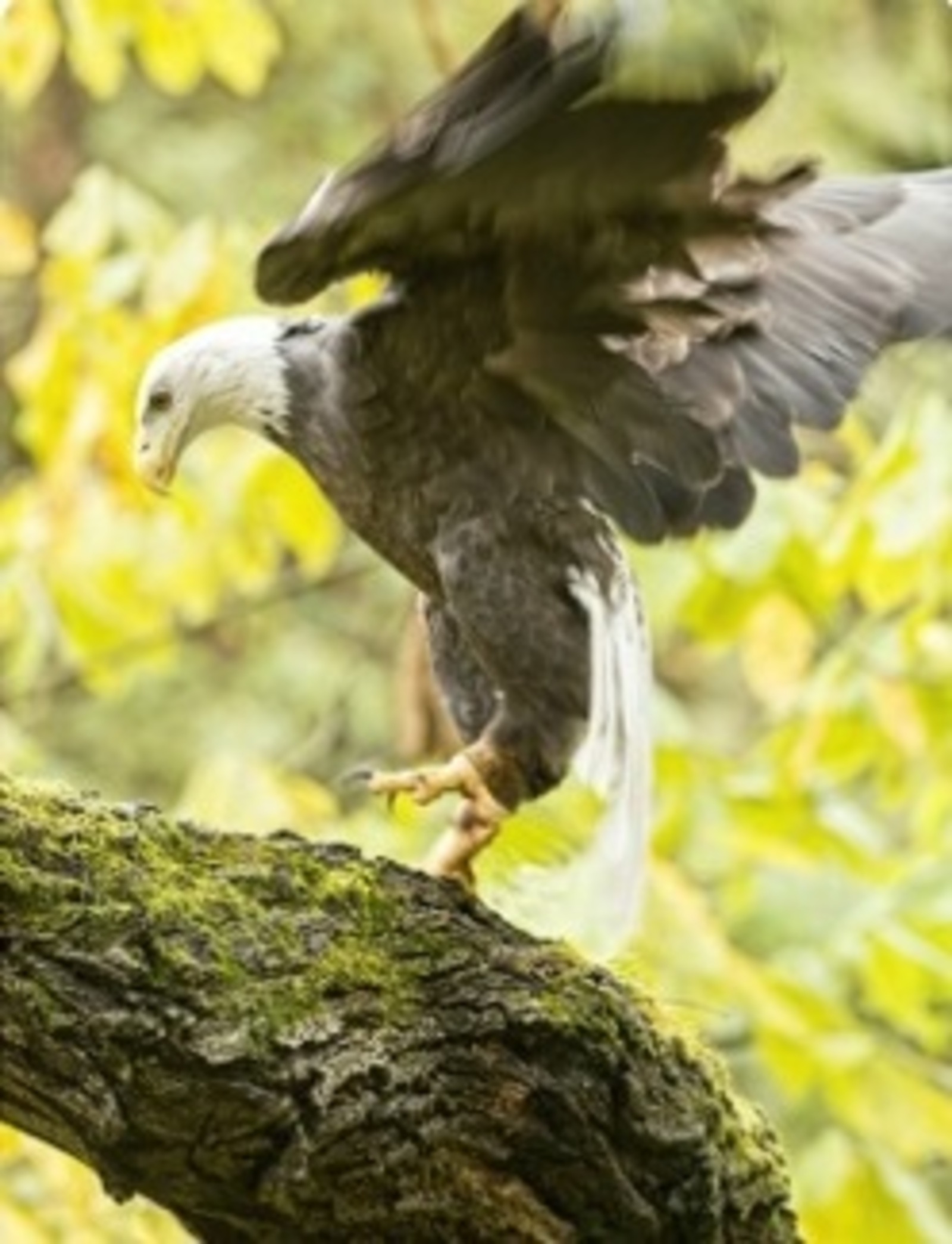 Әмир ӘМИНЕВ. Бер көймәдә... Повесть (Ахыры)