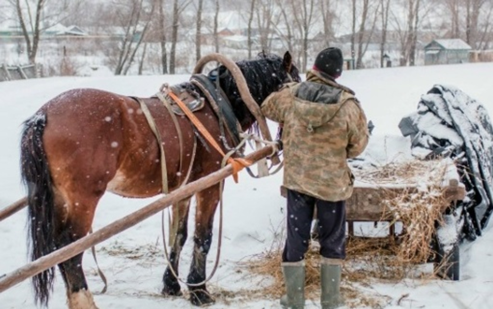 Әхсән БАЯНОВ. Җәй белән җәй арасы. Повесть (10)