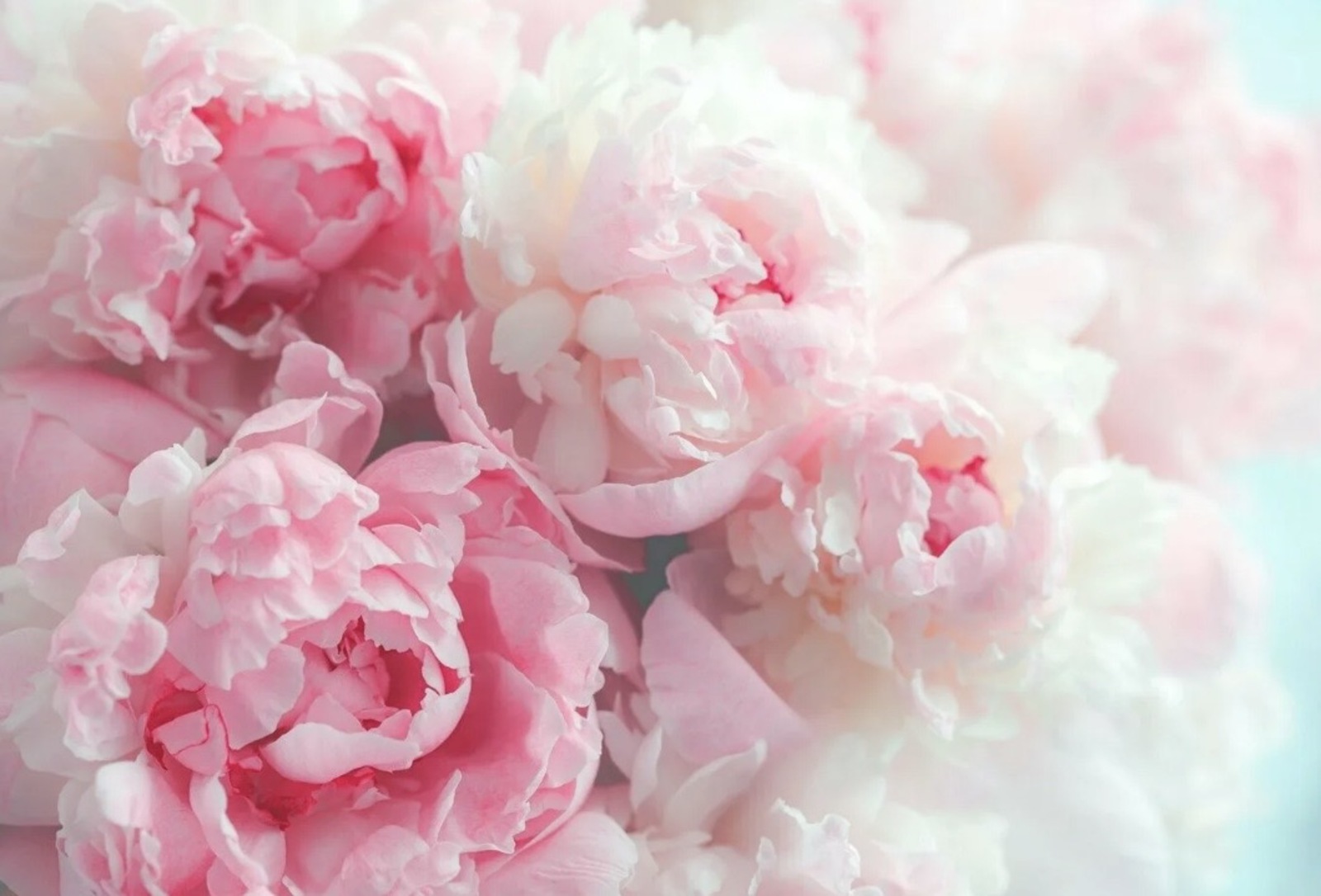 Март аенда нәрсә көтелә?