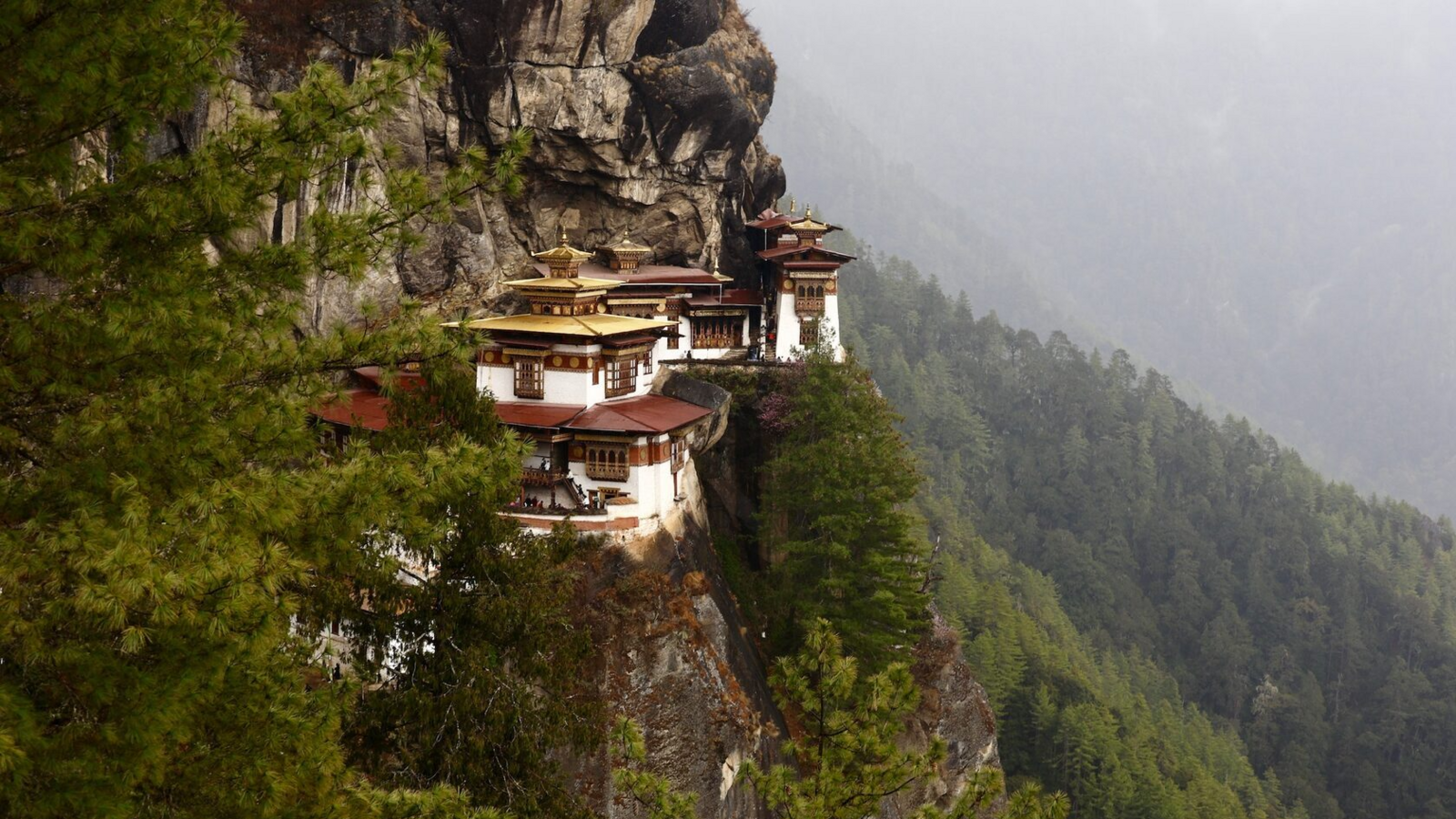 Гөлнара ГЫЙЛЕМХАНОВА. Бәхет утравы