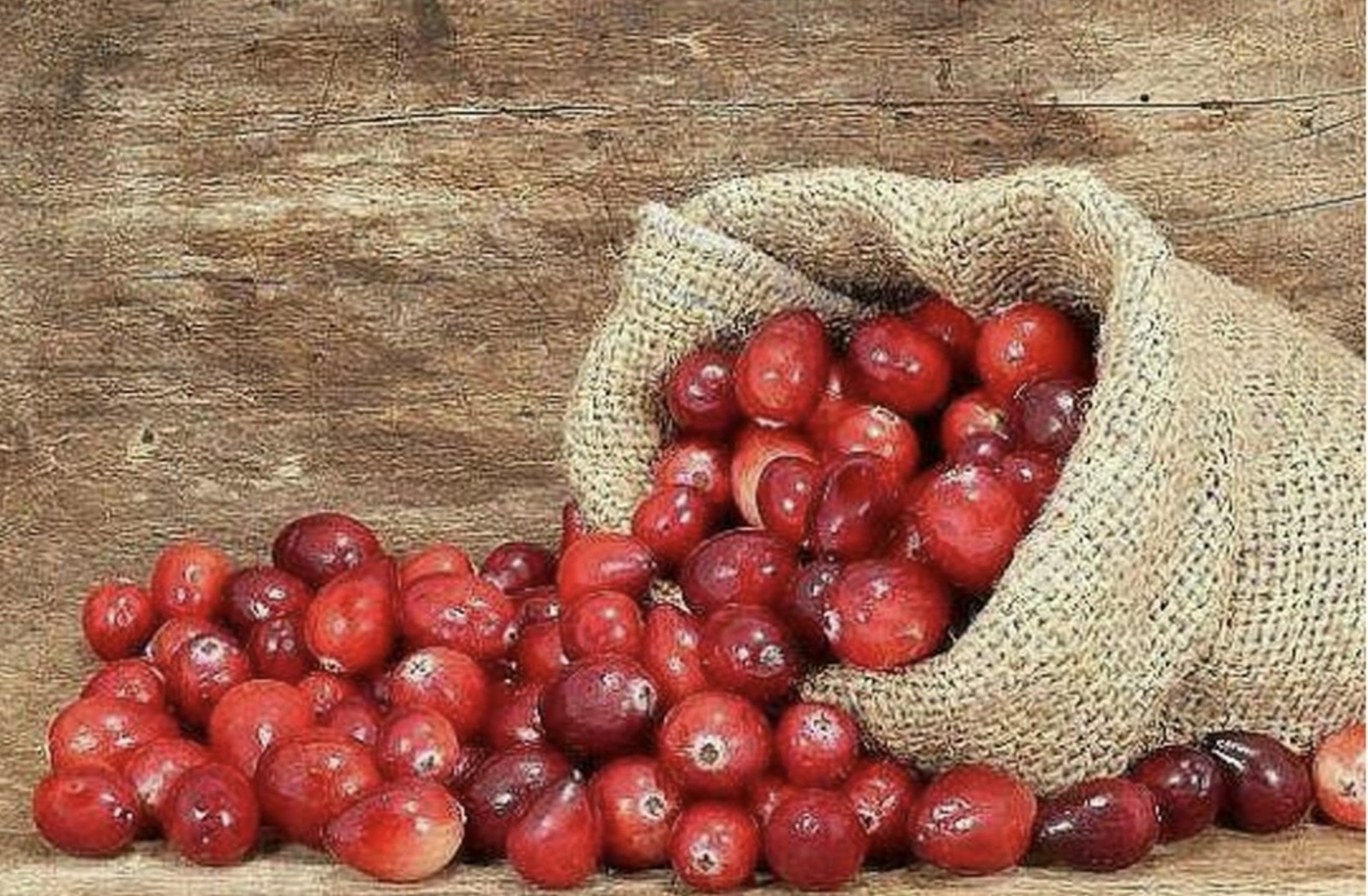 Табигый антибиотиклар