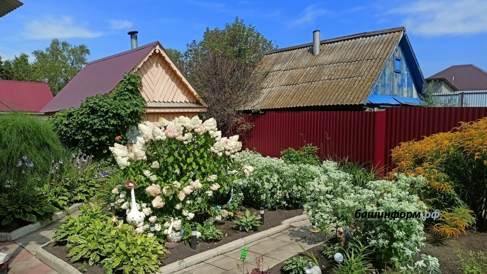 Бакчачыларга ярдәм күрсәтелә