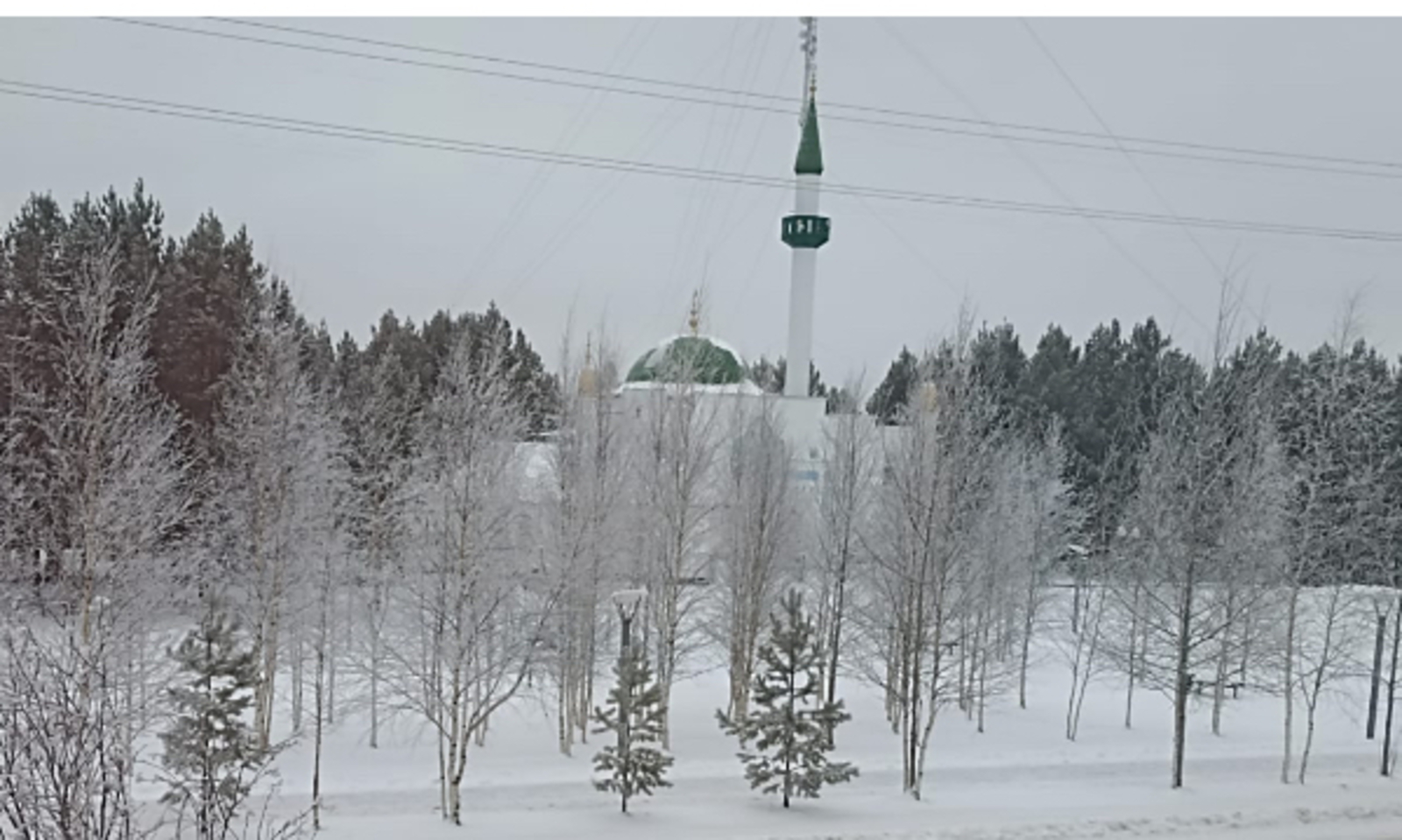 Шифа сорау догасы