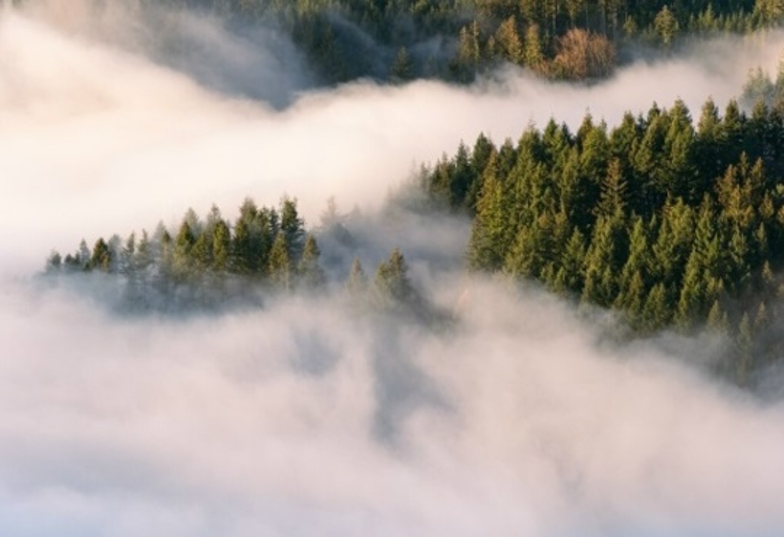 Әмир ӘМИНЕВ. Бер көймәдә... Повесть (3)