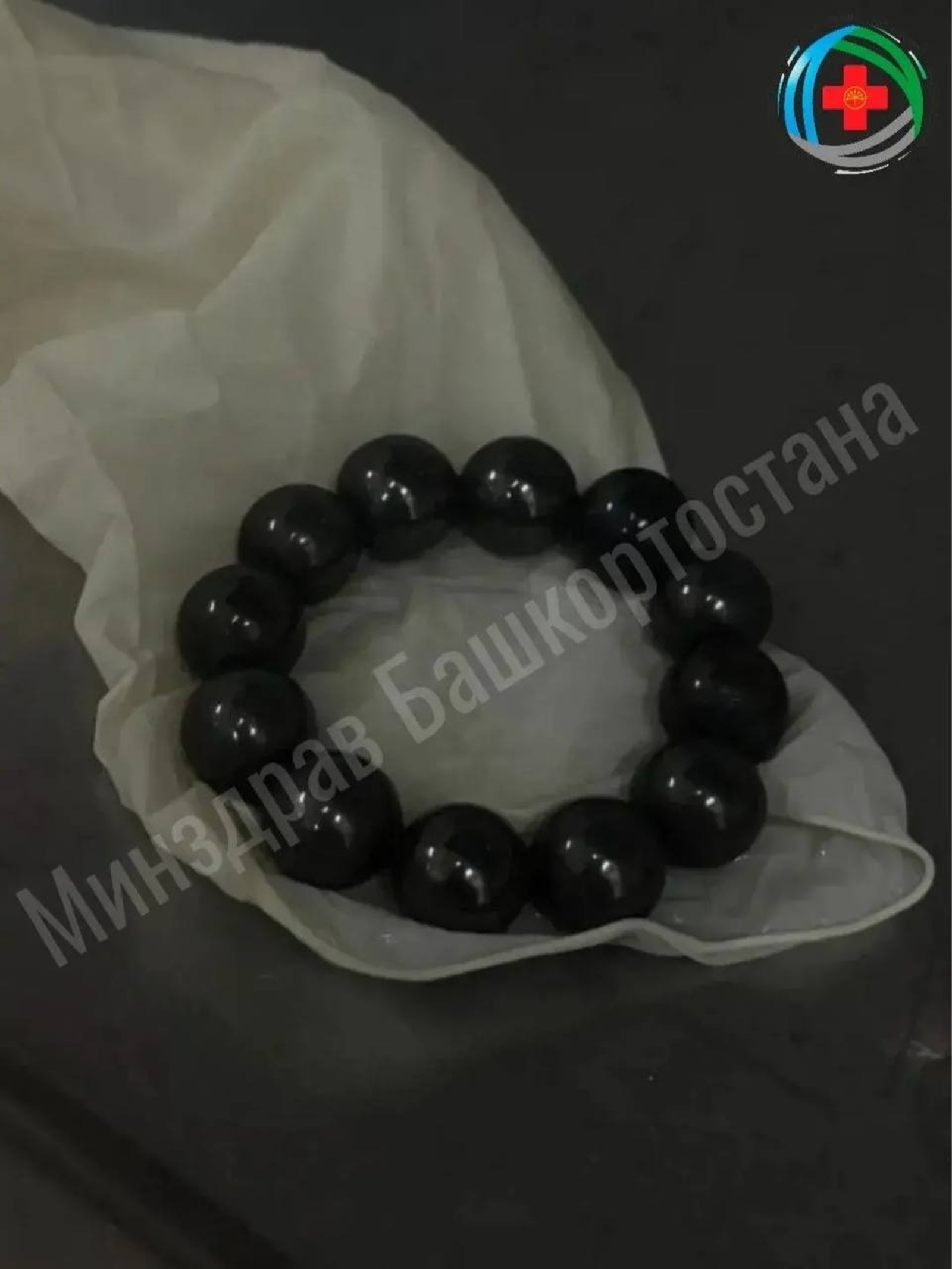 12 магнит шарчыгы йоткан