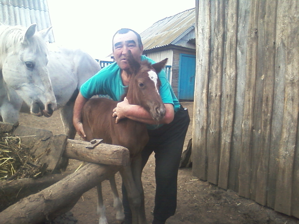 Гомерен туган авылына багышлады