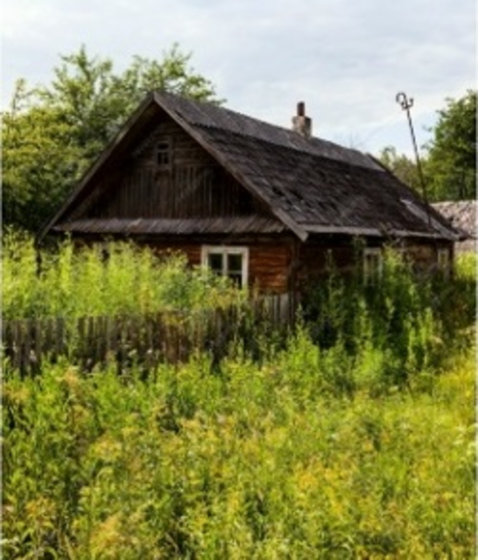 Әмир ӘМИНЕВ. Йолдызак. Повесть (3)