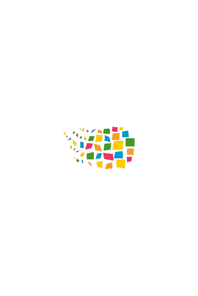 Нигъмәт ЗӨЛКАРНӘЙ. Өч шәкерт маҗарасы яки Барнаулга сәяхәт (1)